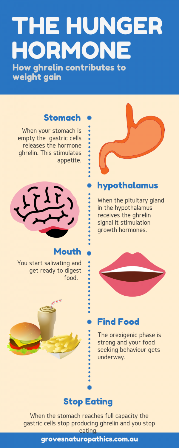 How The Hormone Ghrelin Stops You Losing Weight Part 3 Au 