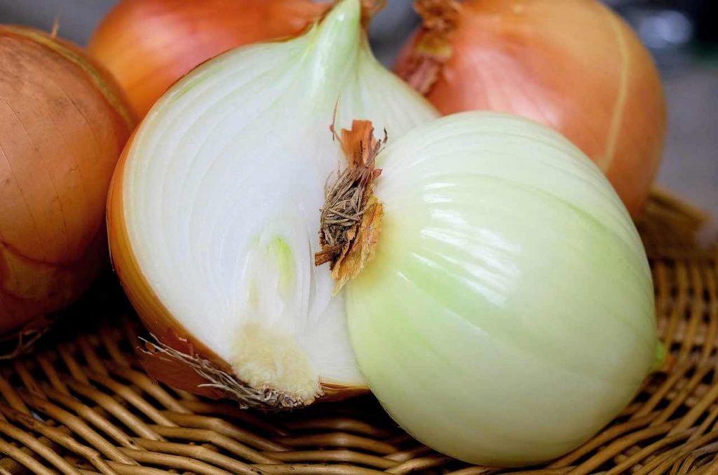 onion-cough relief